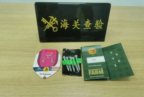 日用品藏毒案 南宁海关查获大麻种子